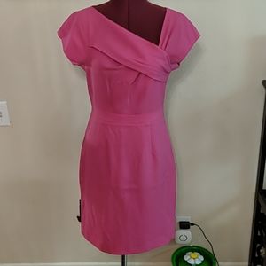 Pink J. Crew Dress